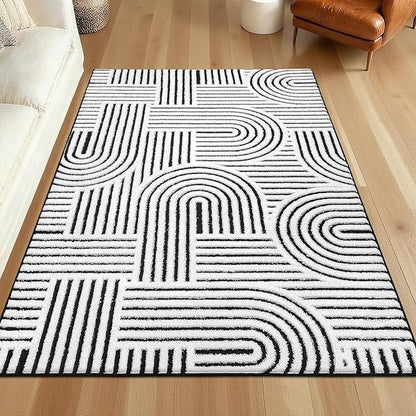 SHACOS Soft Cozy Fluffy Arch Pattern High Low Pile Rugs 3'x5' Non Slip Washable Scandinavian Minimalist Rug Modern Geometric Arc Carpet for Living Room Bedroom Dining Room, Black White