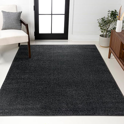 JONATHAN Y Haze Solid Low-Pile Black Indoor Area Rug 10x14, Coastal,Bohemian,Minimalist,Classic, Easy-Cleaning for Living Room,Bedroom,Kitchen,Pet Friendly,Non-Shedding (SEU100I-14)
