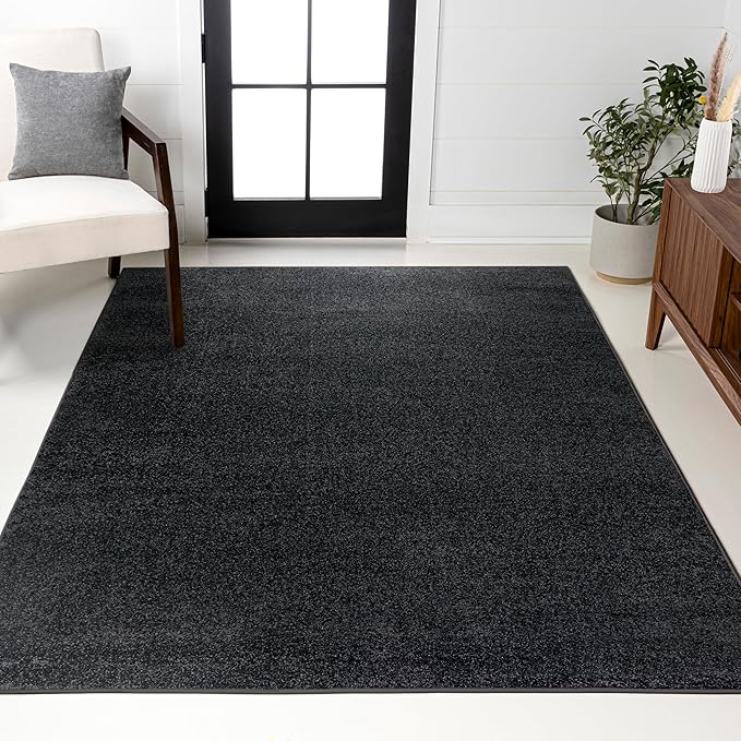 JONATHAN Y Haze Solid Low-Pile Black Indoor Area Rug 6x9, Coastal,Bohemian,Minimalist,Classic, Easy-Cleaning for Living Room,Bedroom,Kitchen,Pet Friendly,Non-Shedding (SEU100I-6)