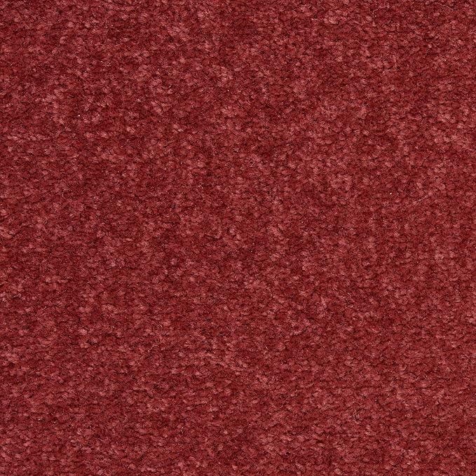 Nourison Home Nourison Essentials Brick Red 7' x 10' Area Rug - Easy Clean, Non Shedding, Bed Room, Living Room, Dining Room, Kitchen (7' x 10')