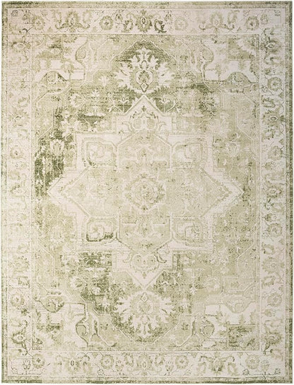 Nourison Home Astra Machine Washable Ivory Green 9' x 12' Area Rug - Easy Clean, Non Shedding, Bed Room, Living Room, Dining Room, Kitchen (9' x 12')