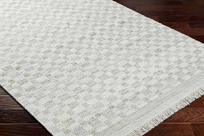 Mark&Day Wool Rugs, 9x12 Clinten Solid and Border Light Gray Checkered Rug, Grey Ivory Carpet for Living Room, Bedroom or Kitchen (8'10" x 12')