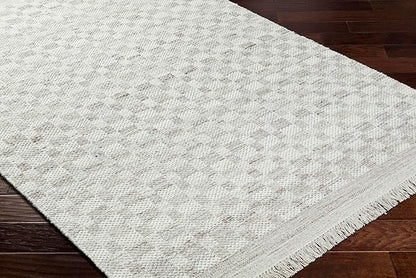 Mark&Day Wool Rugs, 8x10 Clinten Solid and Border Light Gray Checkered Rug, Grey Ivory Carpet for Living Room, Bedroom or Kitchen (8' x 10')