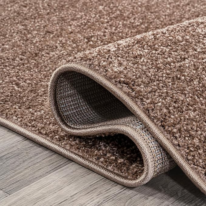 Eyely UES100J-3OV Supersoft Haze Solid Low-Pile Indoor Area Rug Casual;Contemporary;Solid;Traditional, Bedroom, Kitchen, Living Room, Easy-Cleaning, Non-Shedding, 3 X 5 Oval, Brown