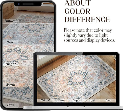 XWZO Entryway Area Rug 2x3ft — Soft Vintage Low Pile Non-Slip Door Floor Mat for Bedroom Bathroom Kitchen Laundry, Spill Resistant Washable Small Indoor Carpet for Doorway Entrance, Colorful