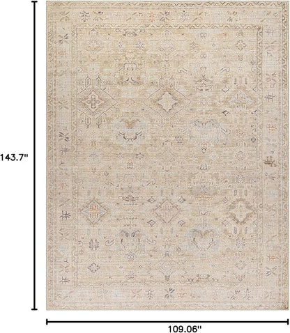 Hauteloom Nakia Bohemian Vintage Medallion Area Rug - Damask Floral Fade Look Carpet for Living Room - Farmhouse - Ivory, Cream, Medium Brown - 9'2" x 12' (9x12 Area Rug)