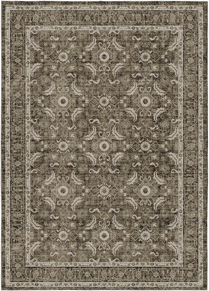 WITSHOCK Living Room Area Rugs 5x7: Soft Non-Slip Backing Washable Rugs Vintage Large Carpet for Bedroom Office Dining Room Kitchen Stain Resistant Home Decor Rug, Dark Brown