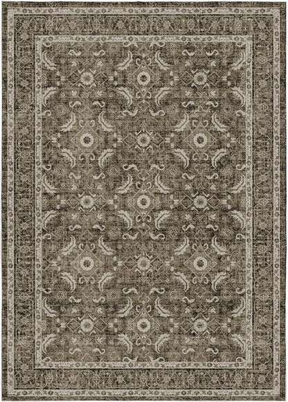 WITSHOCK Living Room Area Rugs 5x7: Soft Non-Slip Backing Washable Rugs Vintage Large Carpet for Bedroom Office Dining Room Kitchen Stain Resistant Home Decor Rug, Dark Brown