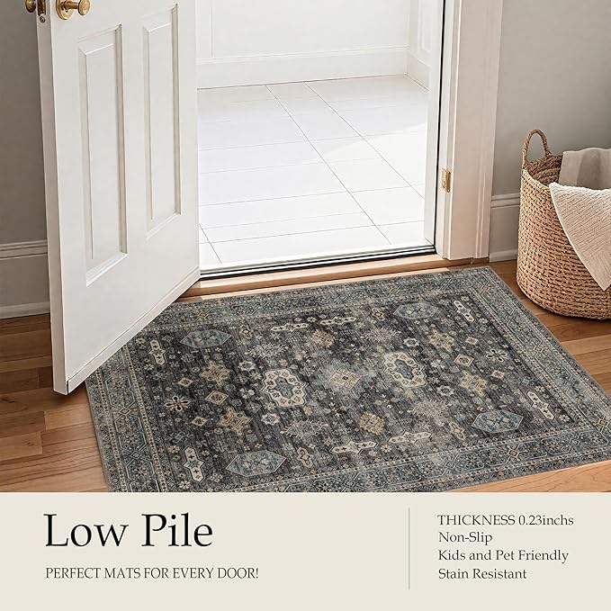 Area Rug Non Slip Machine Washable Ultra Soft Living Room/Bedroom/Kitchen/Outdoor/Classroom Silver, 2'×3'