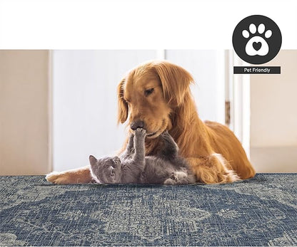 FH Home Outdoor Rug - Waterproof Easy to Clean Stain Resistant - Patio Indoor Outdoor Porch Deck Balcony Entryway - Vintage Distressed - Gorgan - Blue - 4ft x 5ft 7in