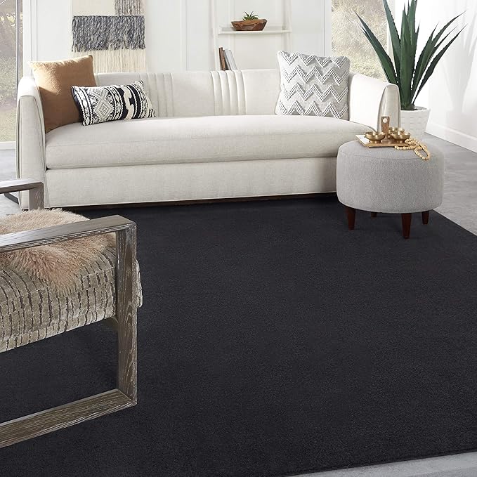 Nourison Home Nourison Essentials Black 7' x 10' Area Rug - Easy Clean, Non Shedding, Bed Room, Living Room, Dining Room, Kitchen (7' x 10')