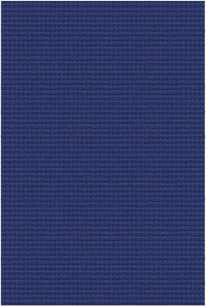 Small Braided Rugs 2x3 Ft Area Rugs for Entryway Washable Rug Throw Rugs Rubber Backed Cotton Woven Door Mat Indoor Entrance Front Door Rugs for Foyer Bathroom Kitchen, Royal Blue/Navy
