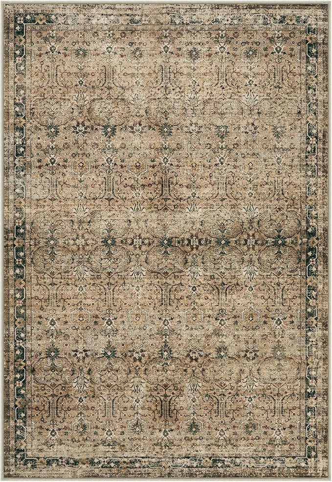 Moynesa Vintage Brown Washable 5x7 Area Rugs for Living Room, Boho Area Rug for Bedroom Dining Room Kitchen, Low Pile Soft Non-Slip Retro Carpets for Office Indoor Nursery