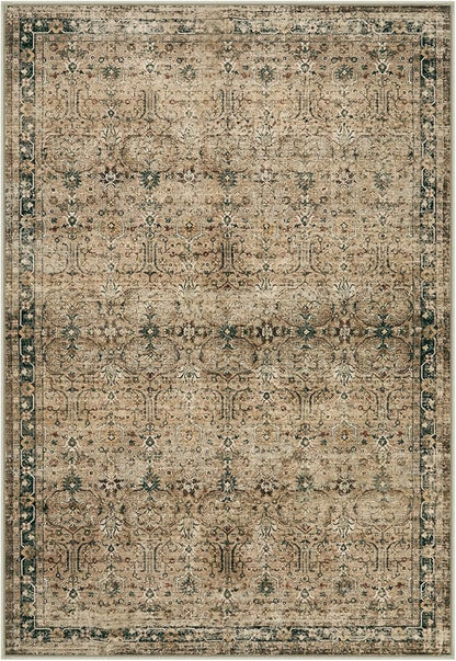 Moynesa Vintage Brown Washable 5x7 Area Rugs for Living Room, Boho Area Rug for Bedroom Dining Room Kitchen, Low Pile Soft Non-Slip Retro Carpets for Office Indoor Nursery