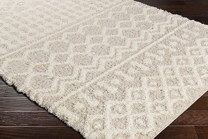 Livabliss Hapsburg Moroccan Shag Area Rug, 7'10" x 10'2, Beige