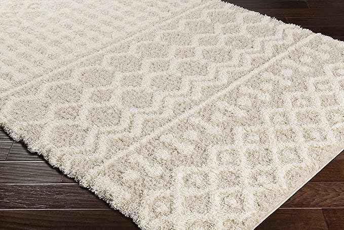 Livabliss Hapsburg Moroccan Shag Area Rug, 4'3" x 5'7", Beige