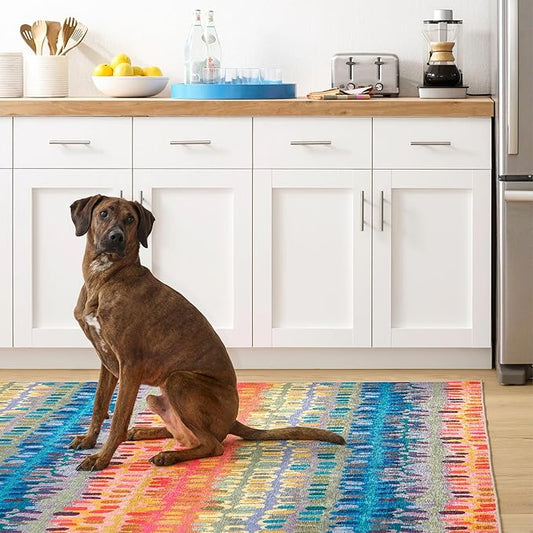 Dash and Albert Paint Chip Machine Washable Area Rug - 2' x 3' Multicolor - Geometric Accent Rug - Anti-Slip Backing, Lightweight, Machine Washable, High Traffic Areas Kitchen, Mudroom, Laundry Room