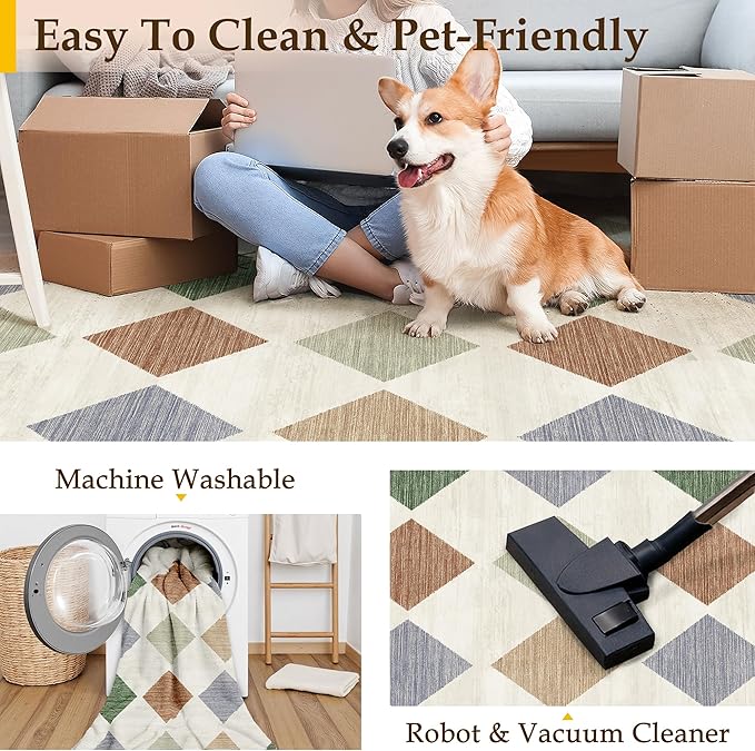 6x9 Checkered Area Rugs for Living Room Colorful Machine Washable Large Rug Non-Slip Stain Resistant Low Pile Boho Accent Indoor Throw Carpet for Bedroom Dining Room Classroom