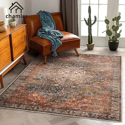 5x7 Washable Area Rug Vintage Traditional Floor Cover Foldable Thin Kitchen Accent Indoor Distressed Non Slip Carpet Rugs for Bedroom Living Room Bathroom