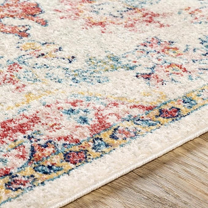 Livabliss Area Rugs - 5x7 Odelia Vintage Boho Red Off-White Blue Area Rug for Living Room Bedroom - Floral Medallion Stain Resistant Carpet for Kitchen, Nursery, Office (5'3" x 7'3")