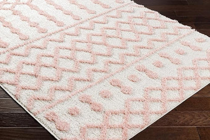 Hauteloom Darva Living Room, Bedroom Area Rug - Contemporary - Plush Pile - Pink - 6'7" x 9'