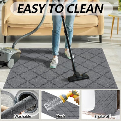 Timo Indoor Doormat, Front Door Mat 36"x59" Absorbent Rubber Backing Non Slip Door Mats, Machine Washable Resist Dirt Low Profile Rugs for Entryway, Front Door Rugs Indoor for Muddy Wet Shoes, Grey