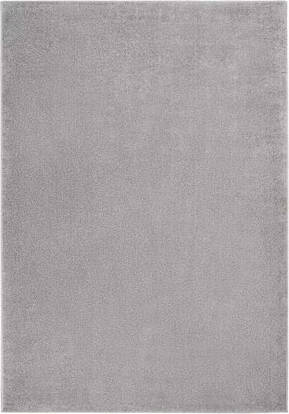 Nourison Home Nourison Essentials Silver Grey 5' x 8' Area Rug - Easy Clean, Non Shedding, Bed Room, Living Room, Dining Room, Kitchen (5' x 8')