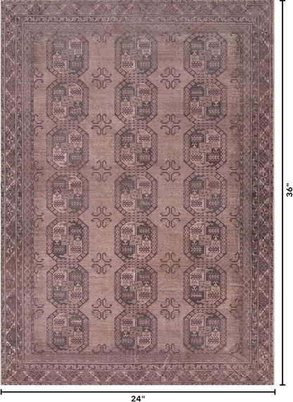 Kuden 2x3 Small Rug, Machine Washable, Non-Slip Backing, Vintage Style, Soft, Low Pile, Area Rugs for Entryway Kitchen Indoor Entrance