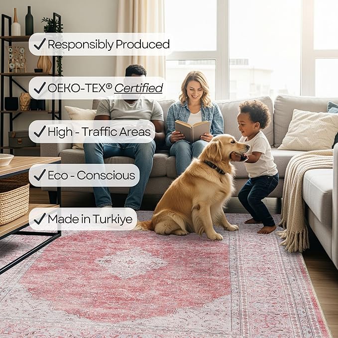 Fame Rugs Turkish Rug. Washable Vintage Oriental Antique Inspired Traditional Doormat Small Modern Area Rugs Luxury Entryway Entry Bedroom Bathroom Kitchen (410CP, 4'9 x 6'9)