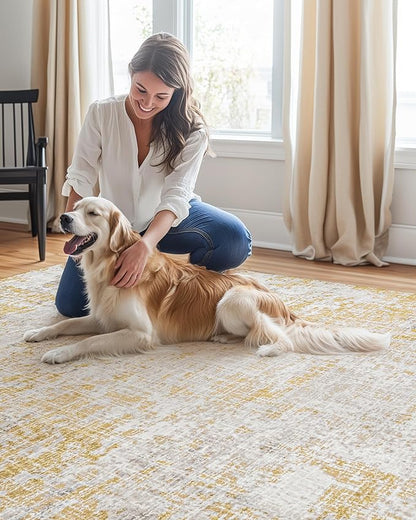 ILANGO 5 x 7 Area Rug for Living Room Bedroom Washable Rugs with Non Slip Backing High Traffic Indoor Carpet for Dining Room Dorm Non-Shedding & Fade Resistant Modern Rugs