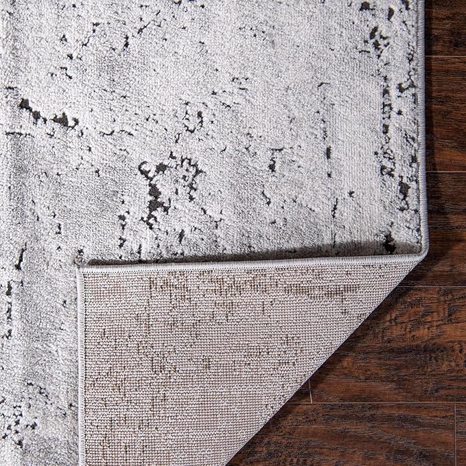 Rugs.com Leipzig Collection Area Rug – 4X6 Grey Low-Pile Rug Perfect for Entryways, Kitchens, Breakfast Nooks, Accent Pieces