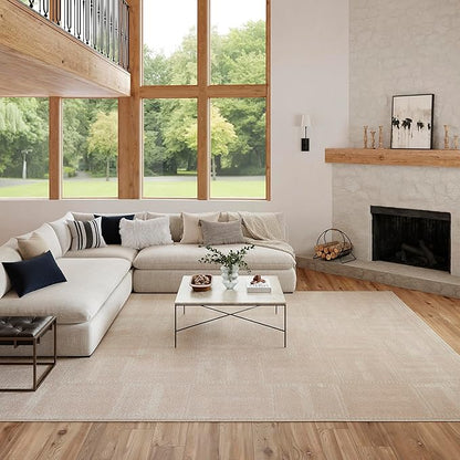 Nourison Nordic Taupe 8' x 10' Scandinavian Area Rug - Easy Cleaning, Non Shedding, Bed Room, Living Room, Dining Room, Kitchen (8' x 10')
