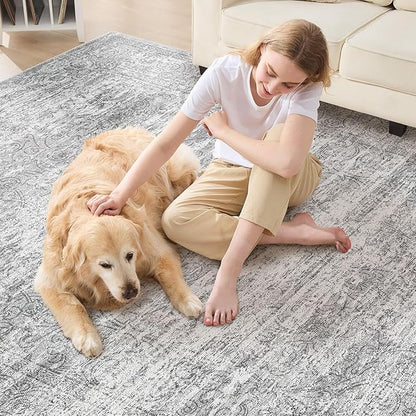 Area Rug Living Room Rugs - 5x8 Large Soft Indoor Neutral Modern Abstract Low Pile Washable Rug Carpet for Bedroom Dining Room Farmhouse Home Office - Vintage Grey