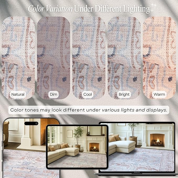 Fame Rugs Turkish Rug. Washable Vintage Oriental Antique Inspired Traditional Doormat Small Modern Area Rugs Luxury Entryway Entry Bedroom Bathroom Kitchen (403CC, 2'5 x 6'9)