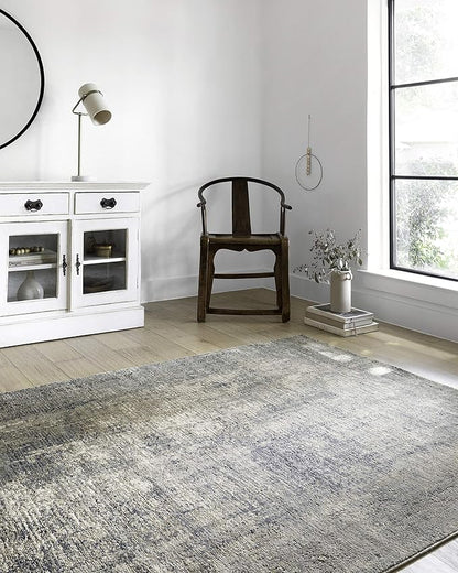 Loloi Teagan Collection TEA-05 Denim/Slate 7'-11" x 10'-6" Area Rug, Large, Soft Neutral Rug, High-Traffic for Living Room, Bedroom, Home Office, Dining Area