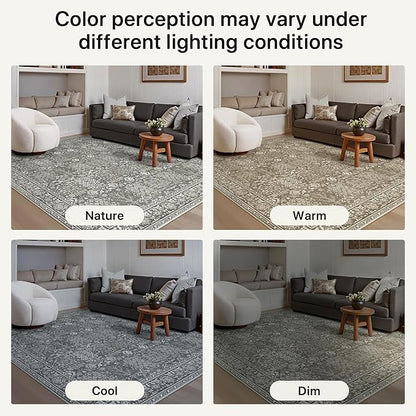 Bavni Area Rugs for Living Room, 5x7 Area Rugs Non-Slip Washable，Ultra-Thin Aesthetic Boho Rug for Bedroom Dinning Room Office, Gery