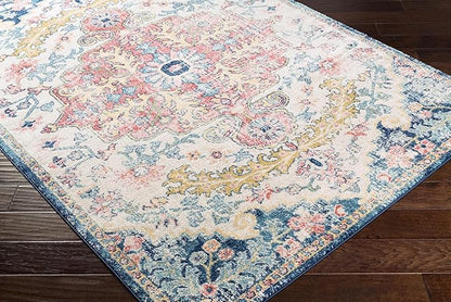 Livabliss Area Rugs - 9x12 Odelia Vintage Boho Aqua Burgandy Blue Area Rug for Living Room Bedroom - Floral Medallion Stain Resistant Carpet for Kitchen, Nursery, Office (8'10" x 12')