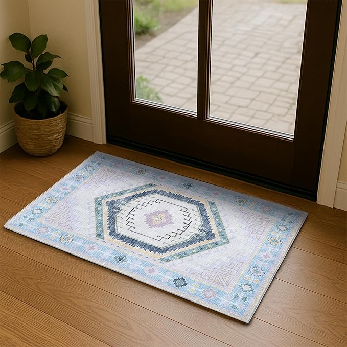Fame Living Washable Area Rug. Modern Farmhouse. Vintage. Turkish. Bohemian. Distressed. Oriental. Traditional. Rugs for Living Room. Dining. Bedroom. Office. Entryway. Foyer. (856PBl, 2' x 3')
