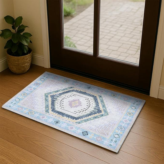 Fame Living Washable Area Rug. Modern Farmhouse. Vintage. Turkish. Bohemian. Distressed. Oriental. Traditional. Rugs for Living Room. Dining. Bedroom. Office. Entryway. Foyer. (856PBl, 2' x 3')
