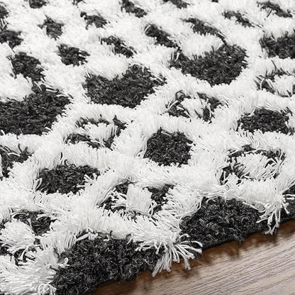 Livabliss Hapsburg Moroccan Shag Area Rug, 5'3" x 7'3", Black/White