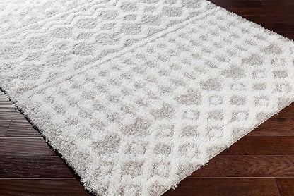 Livabliss Hapsburg Moroccan Shag Area Rug, 5'3" x 7'3", Light Gray