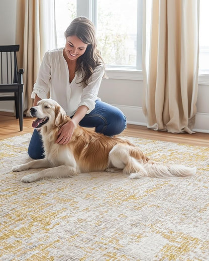 ILANGO Area Rug 3x5 for Living Room Bedroom Washable Rugs with Modern Non Slip Easy Care Floor Mats for Kitchen Entryway High Traffic Area Floor Carpet for Decor Doorway Laundry