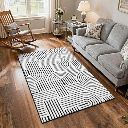 SHACOS Soft Cozy Fluffy Arch Pattern High Low Pile Rugs 3'x5' Non Slip Washable Scandinavian Minimalist Rug Modern Geometric Arc Carpet for Living Room Bedroom Dining Room, Black White