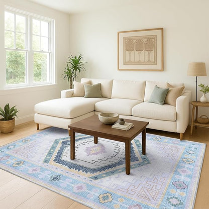 Fame Living Washable Area Rug. Modern Farmhouse. Vintage. Turkish. Bohemian. Distressed. Oriental. Traditional. Rugs for Living Room. Dining. Bedroom. Office. Entryway. Foyer. (856PBl, 2' x 3')