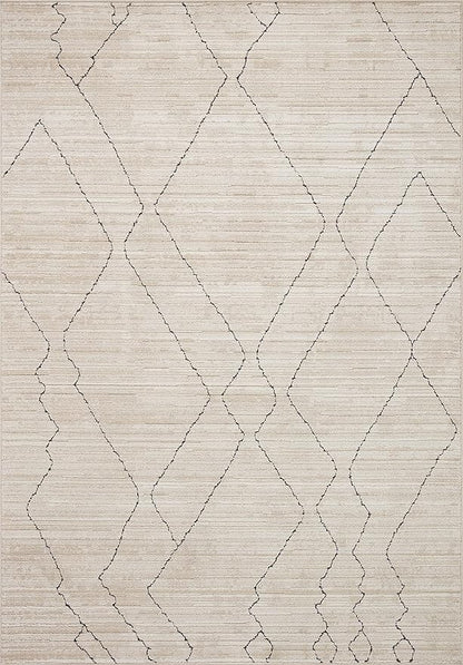 Loloi Darby Collection DAR-03 Sand/Charcoal 9'-2" x 13' Area Rug