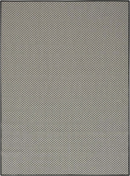 Nourison Home Courtyard Black White 5' x 7' Area Rug - Easy Clean, Non Shedding, Bed Room, Living Room, Dining Room, Kitchen (5' x 7')