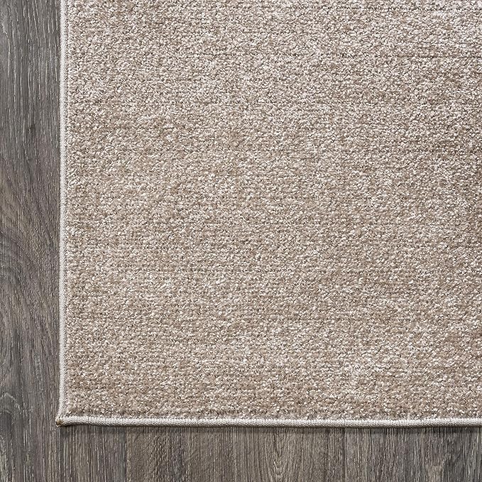 JONATHAN Y Haze Solid Low-Pile Beige Indoor Area Rug 4x6, Coastal,Bohemian,Minimalist,Classic, Easy-Cleaning for Living Room,Bedroom,Kitchen,Pet Friendly,Non-Shedding (SEU100G-4)