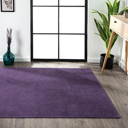 Eyely UES100N-3 Supersoft Haze Solid Low-Pile Indoor Area Rug Casual;Contemporary;Solid;Traditional, Bedroom, Kitchen, Living Room, Easy-Cleaning, Non-Shedding, 3 X 5, Purple