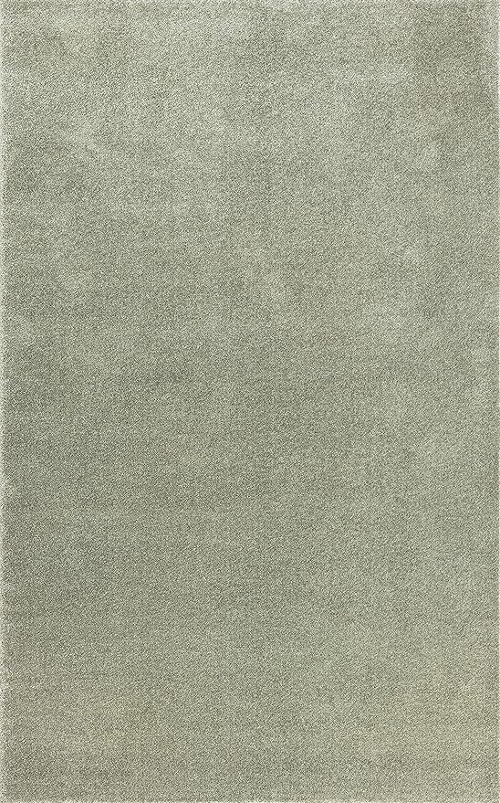 JONATHAN Y Haze Solid Low-Pile Green Indoor Area Rug 8x10, Coastal,Bohemian,Minimalist,Classic, Easy-Cleaning for Living Room,Bedroom,Kitchen,Pet Friendly,Non-Shedding (SEU100O-8)