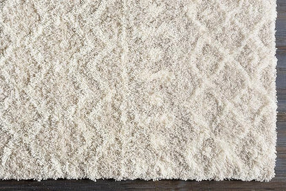 Livabliss Hapsburg Moroccan Shag Area Rug, 8'10" x 12', Beige